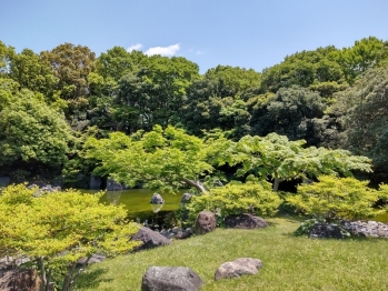日本庭園9