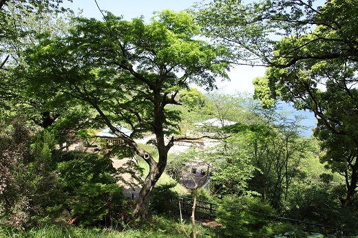 頂上からの日本庭園とコエダハウス