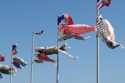 横浜国際総合競技場の鯉のぼり2