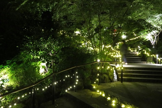 「天悠」の渓谷庭園の夜景1