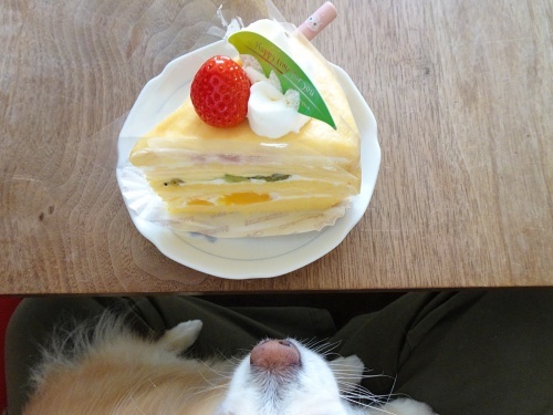 ケーキ　柚子
