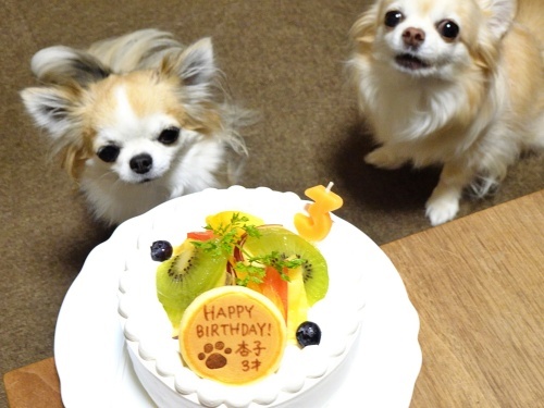 Happy birthday　杏子