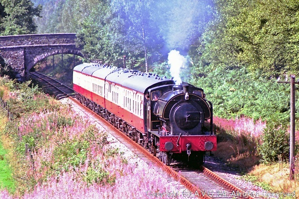 3698（Lakeside and Haverthwaite Railway） 199008